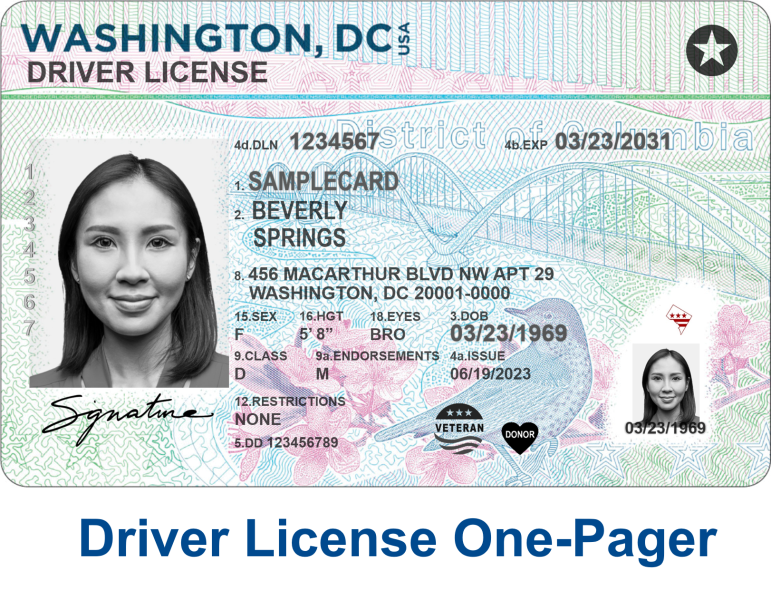 Driver License One-Pager